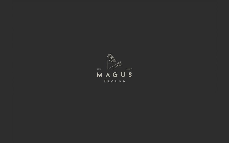 成都摩品產品包裝設計公司-Magus Brands綠茶品牌包裝設計欣賞